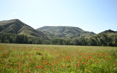 Granja-Escuela la Esgaravita